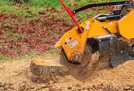  Manchaca, TX Tree Removal Pros
